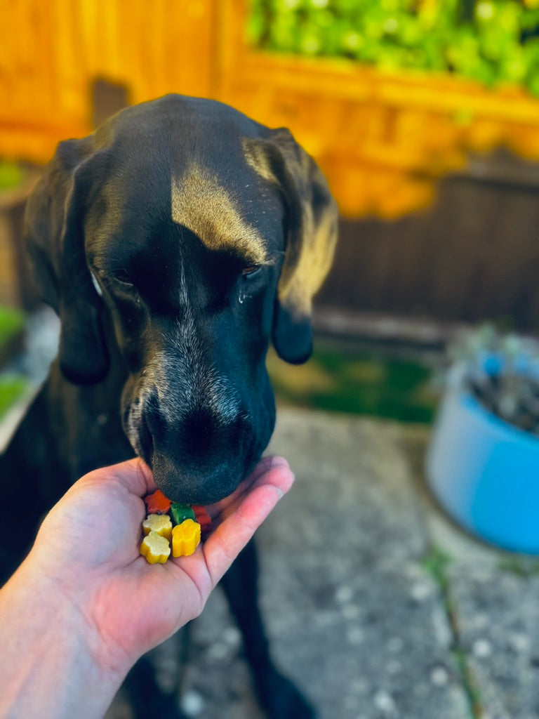 Fruit Bites