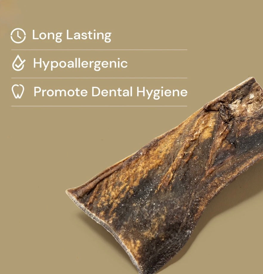 Nutriment Camel Skin