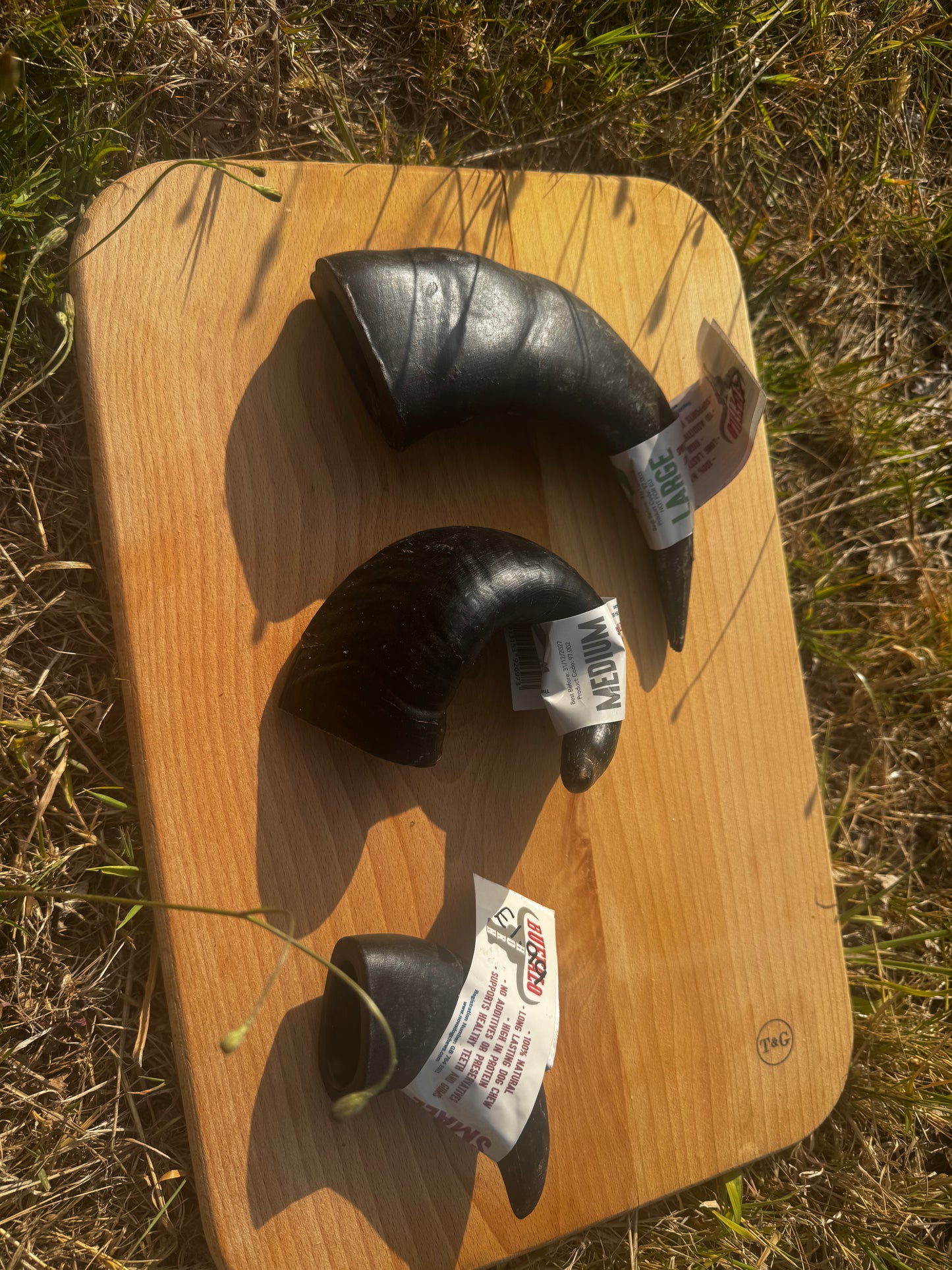 Buffalo Horn