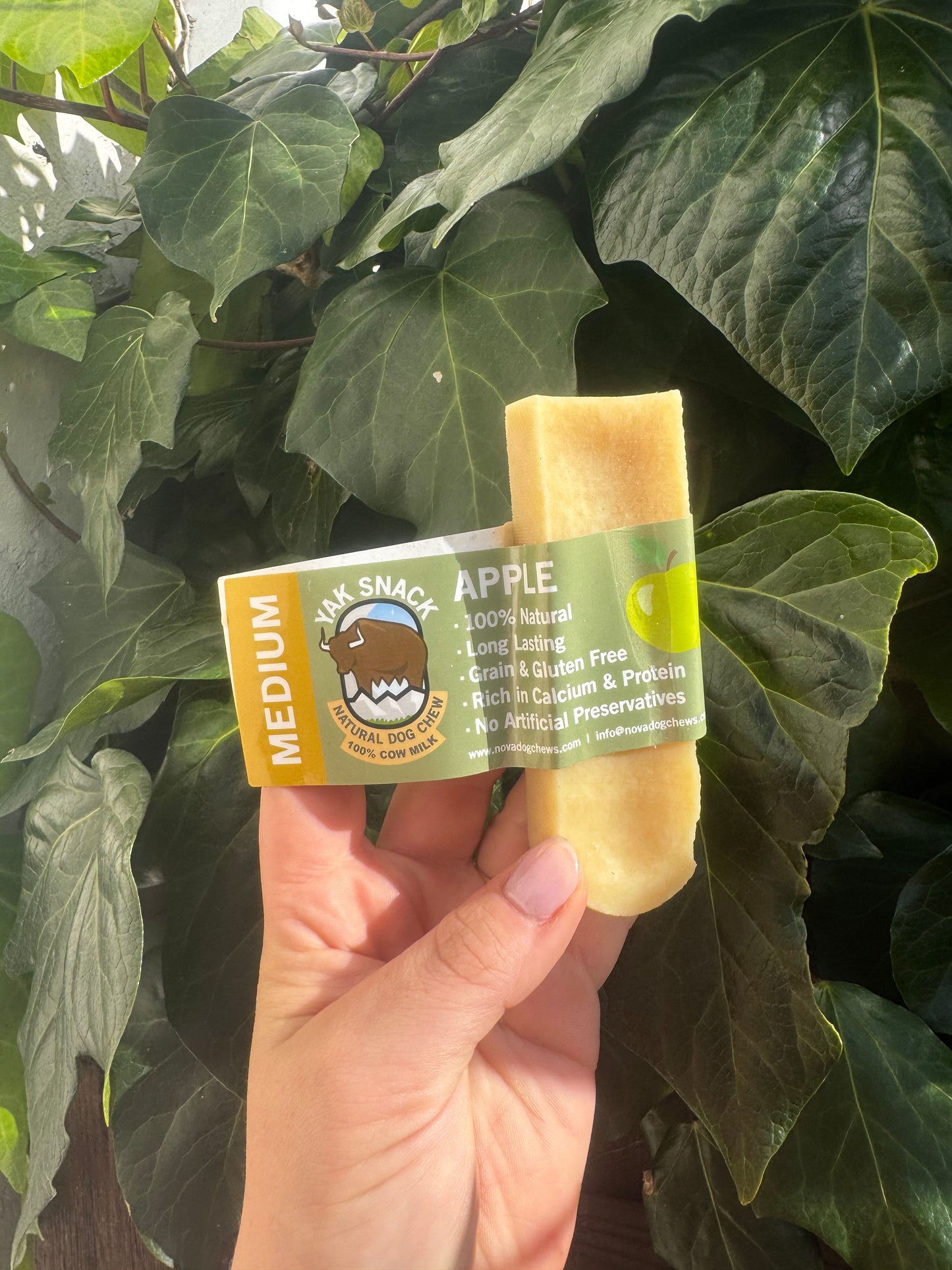 Yak Snack Apple Bar