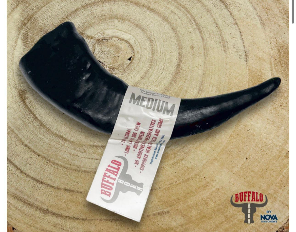 Buffalo Horn