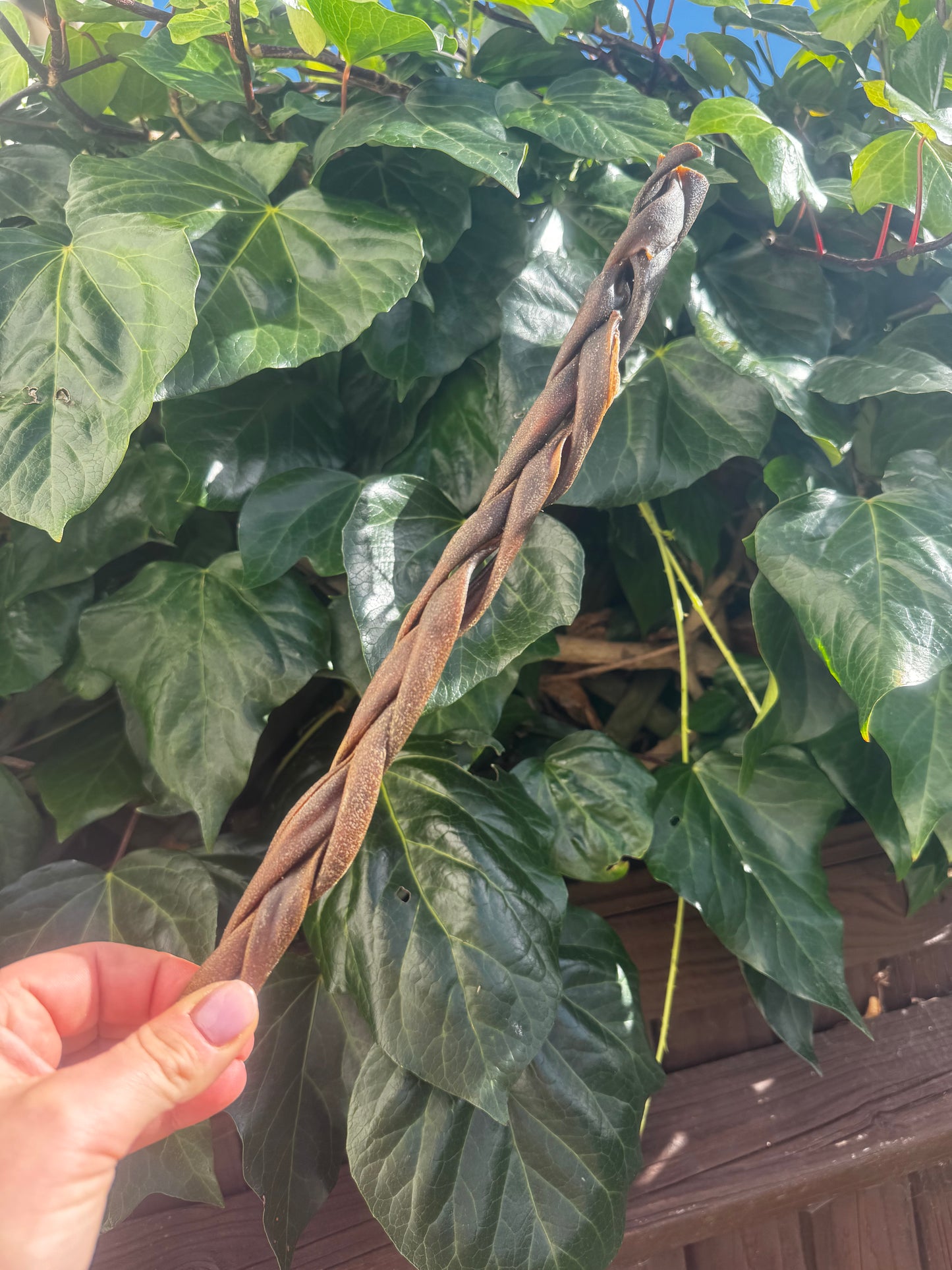 Deer Skin Braids 30cm