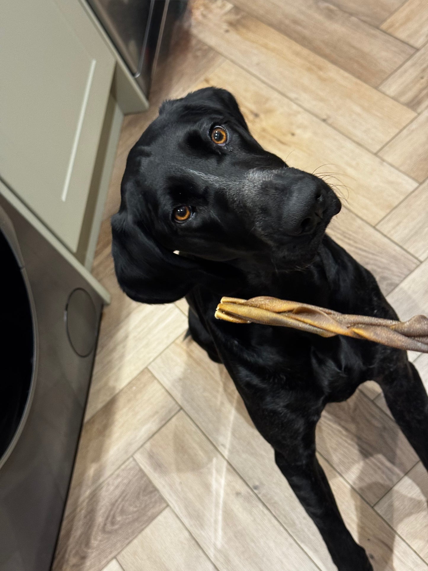 Deer Skin Braids 30cm