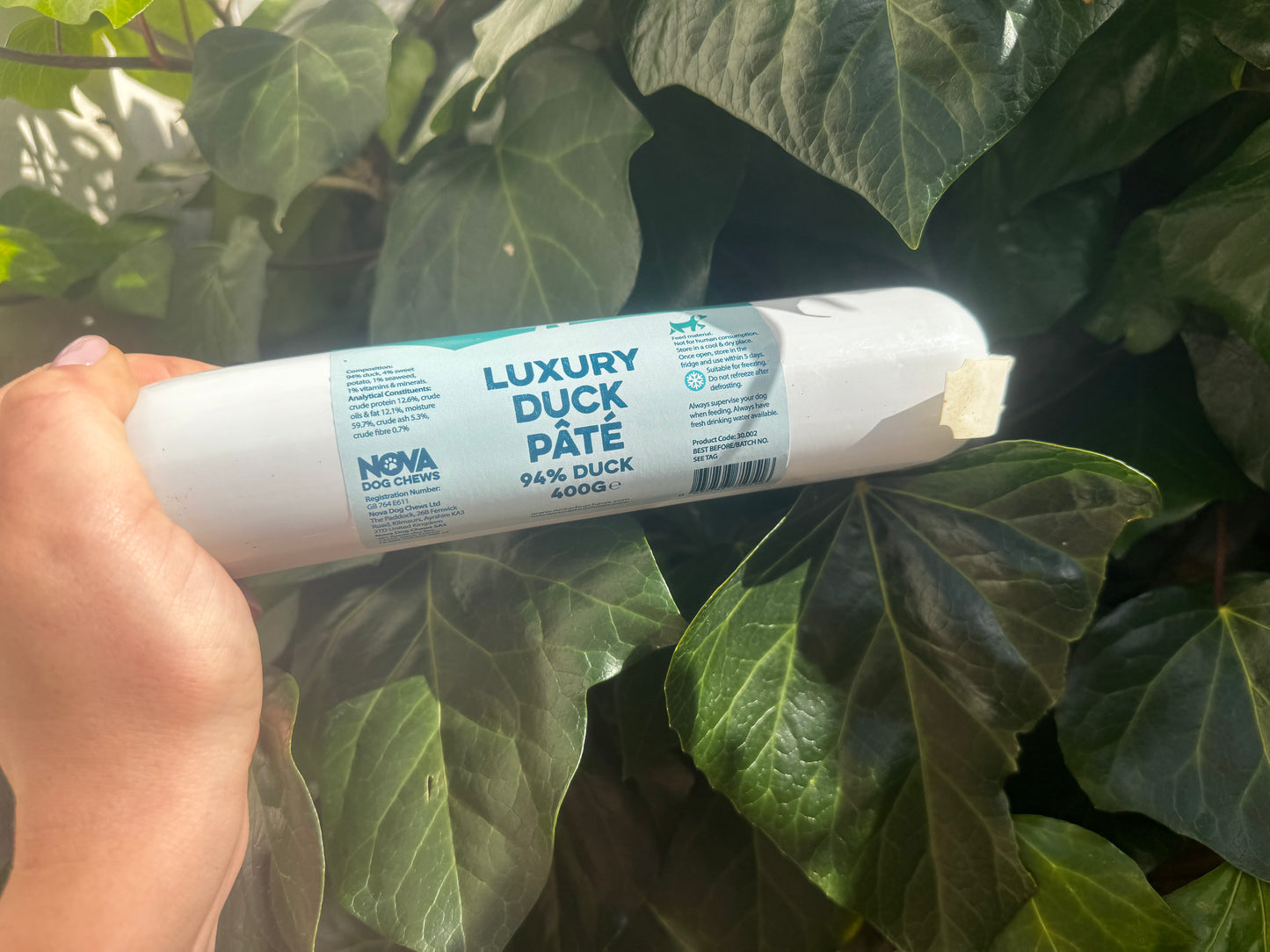 Luxury Duck Pate