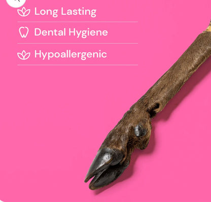 Large Hairy Deer Leg