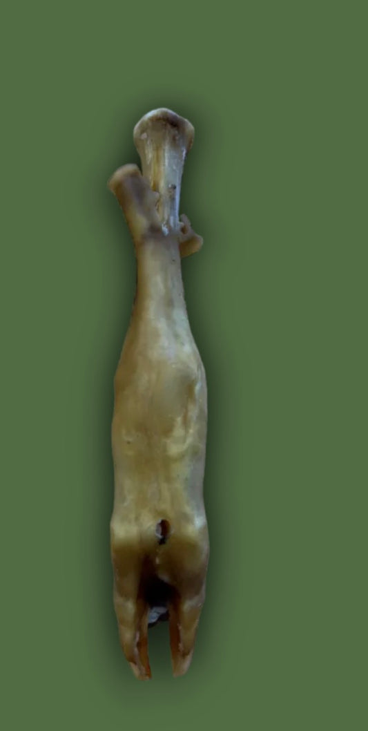 Hairless lamb legs