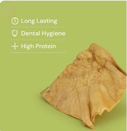 Buffalo Skin Plates