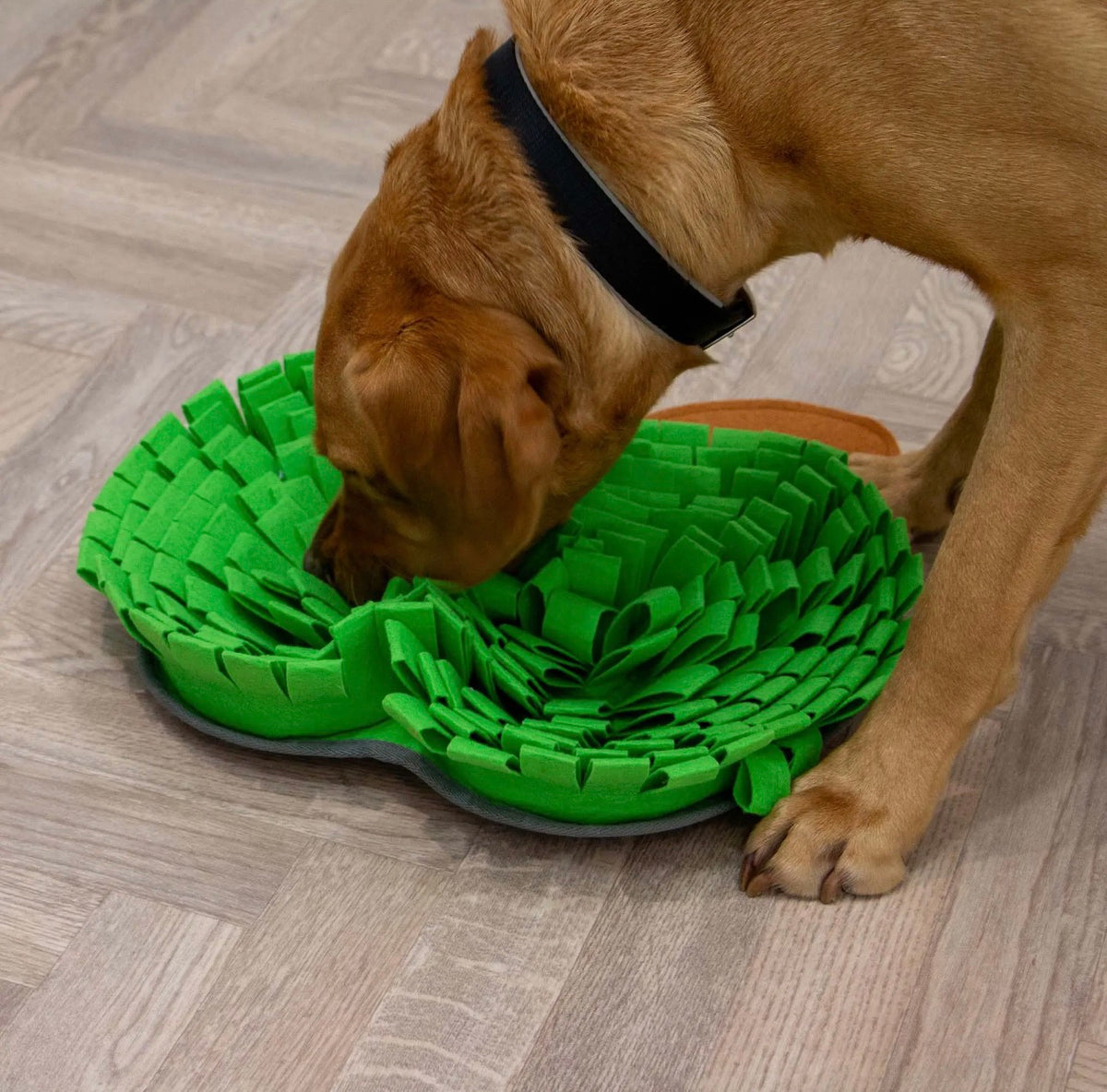 Apple Snuffle Puzzle