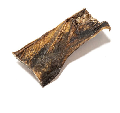 Nutriment Camel Skin