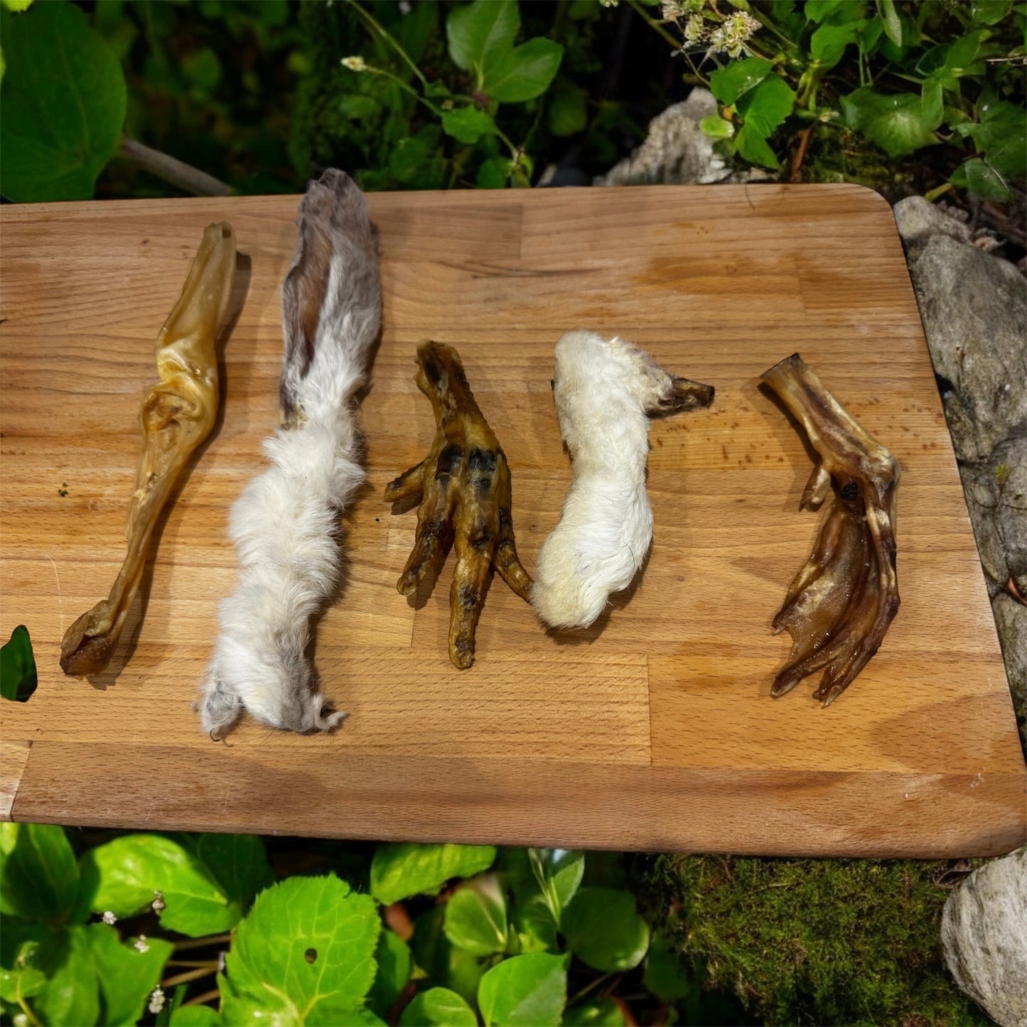 Tasty crunchy trial bundle