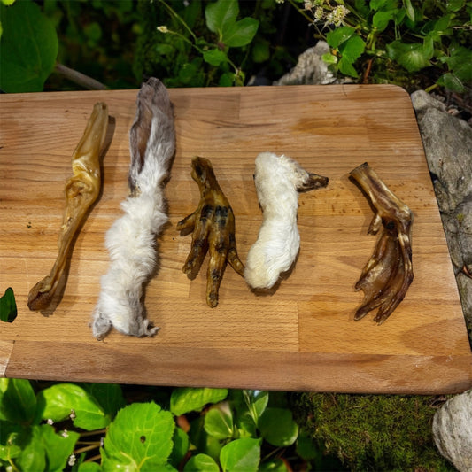 Tasty crunchy trial bundle