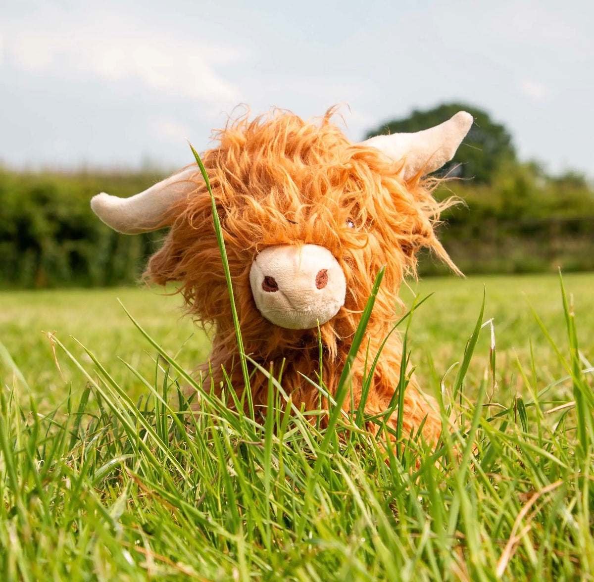 Highland Cow Cuddle Toy