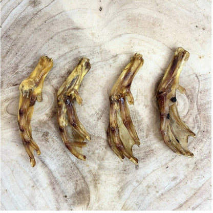 Duck Feet