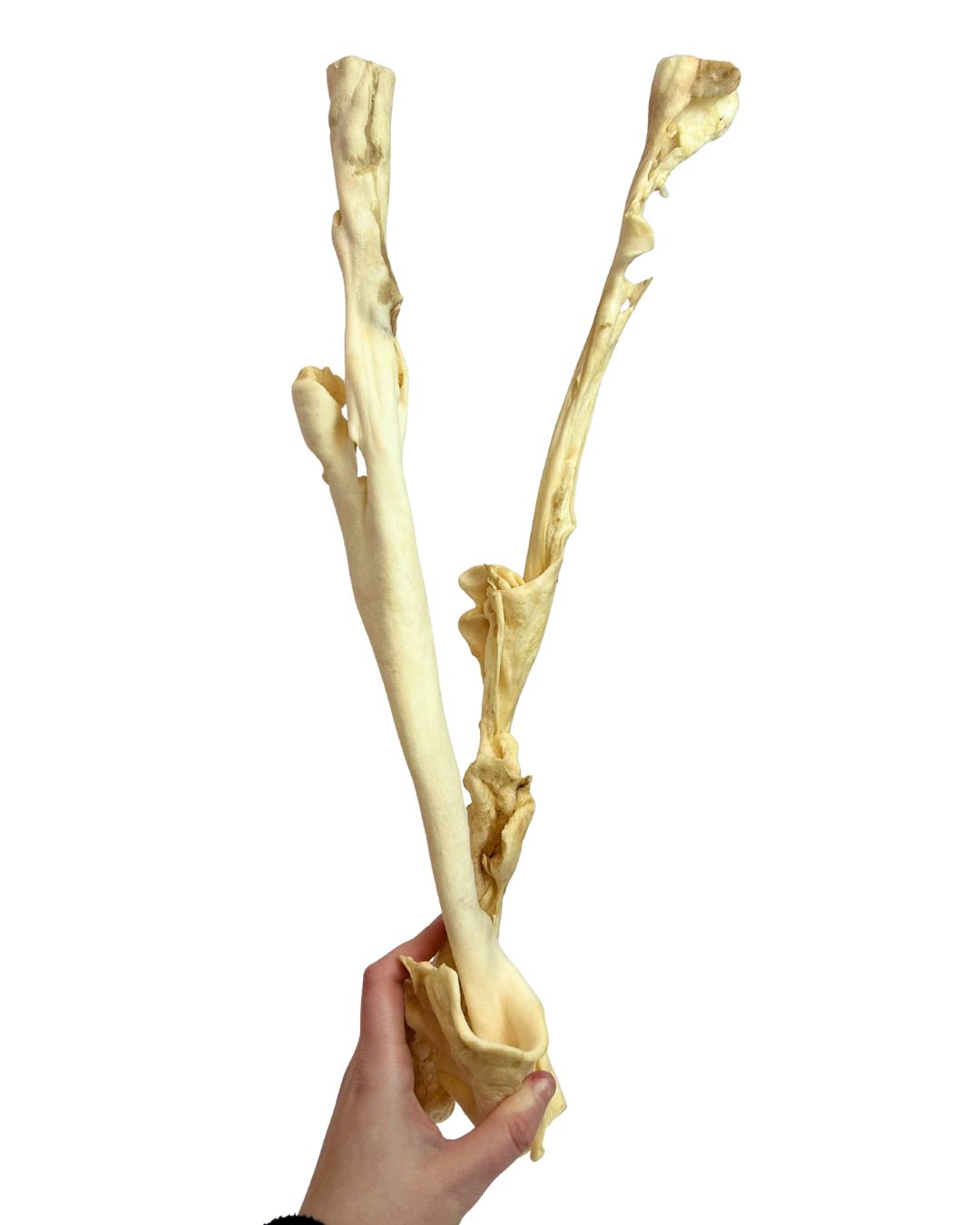 Lamb Skin Sticks (40-50cm)