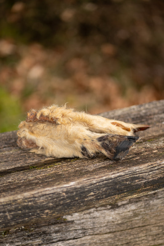 Hairy Lamb Trotters