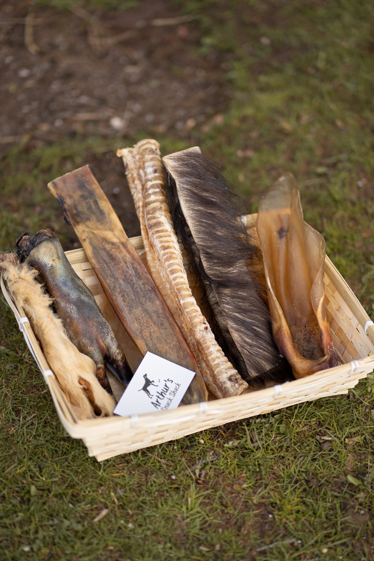 The Ultimate Long Lasting Chew Bundle