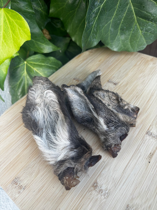 Venison Hairy Ears