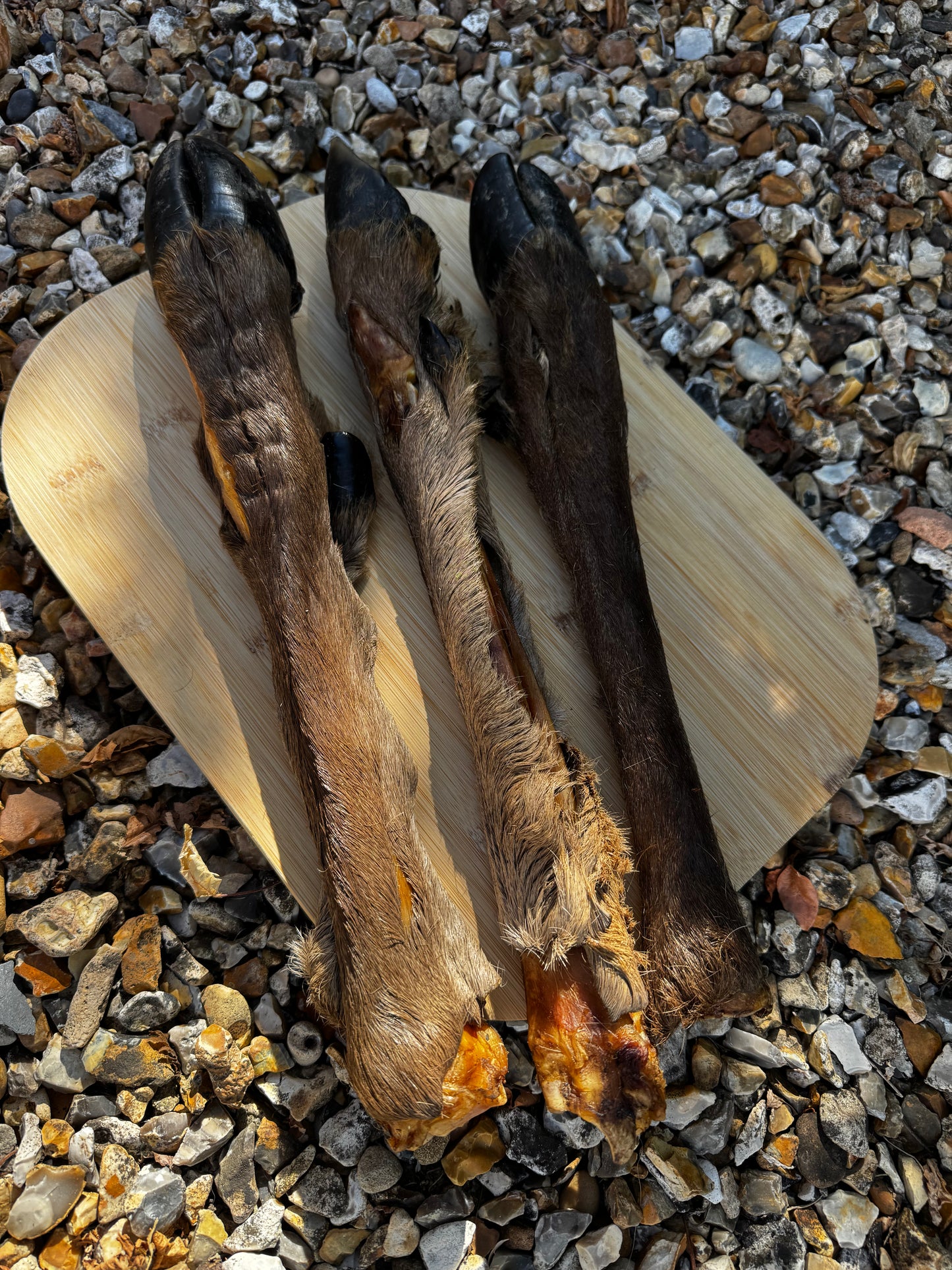 Large Hairy Deer Leg