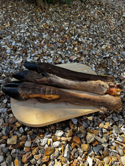 Large Hairy Deer Leg