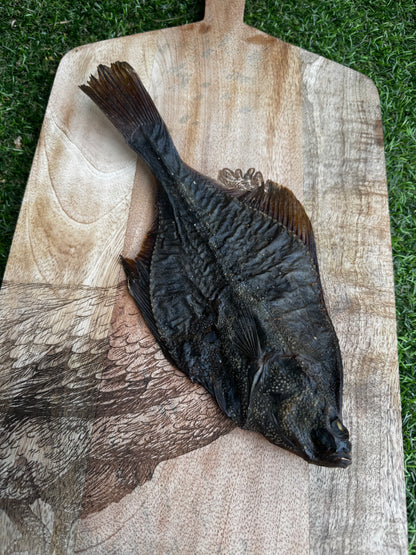 Flounder Whole Fish