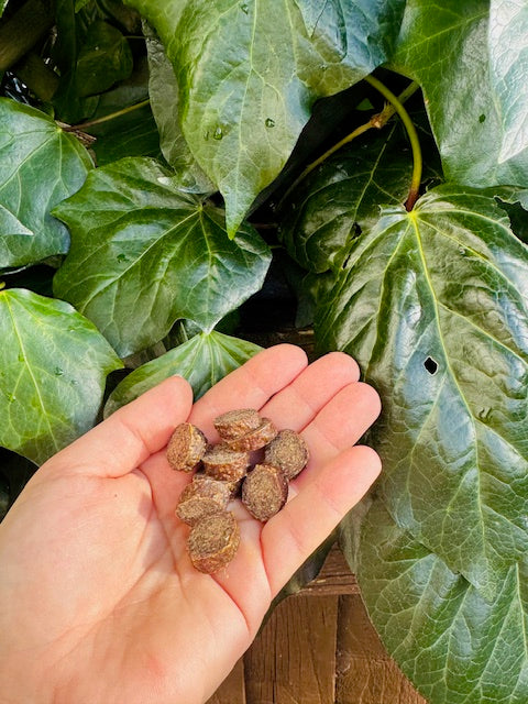 Turkey and Cranberry slices