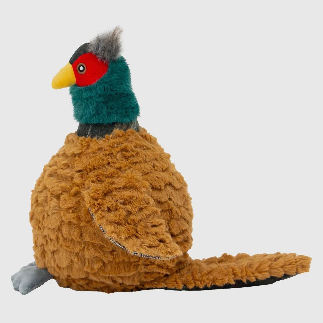 Phoebe the Pheasant