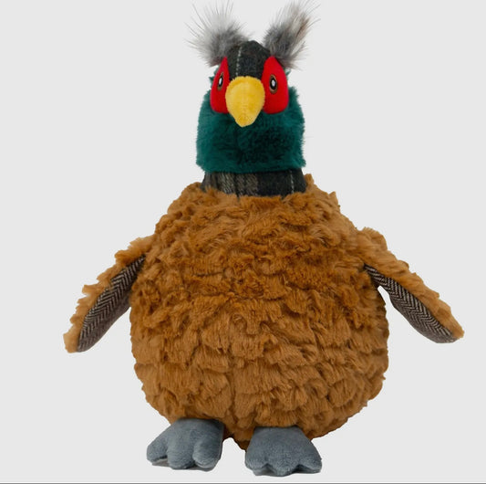 Phoebe the Pheasant