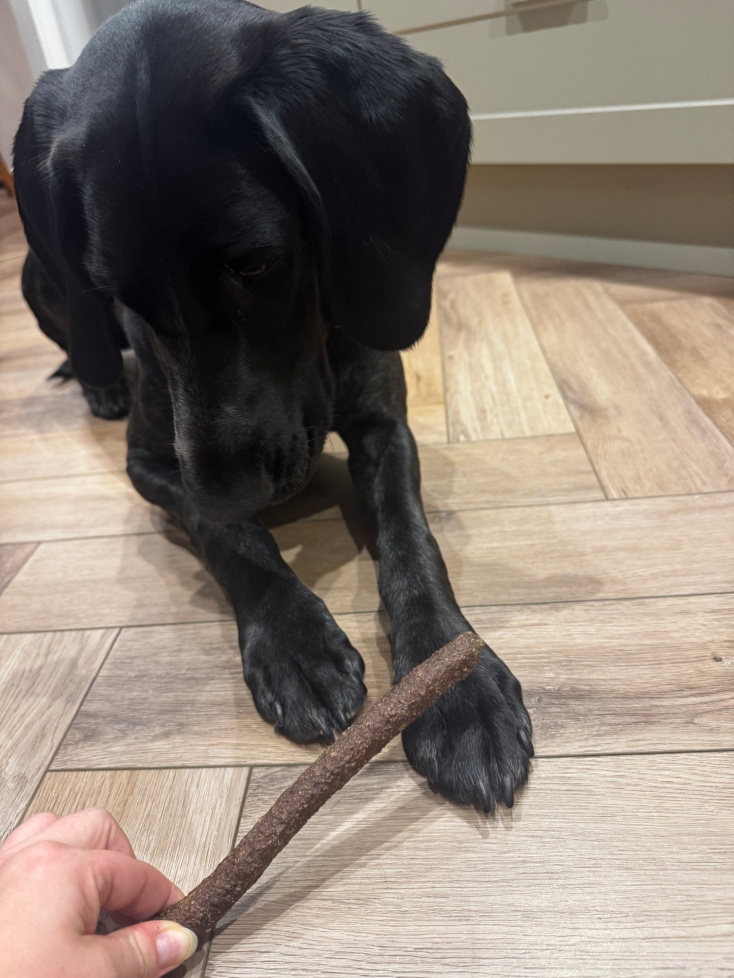 Turkey & Cranberry Meaty Sticks