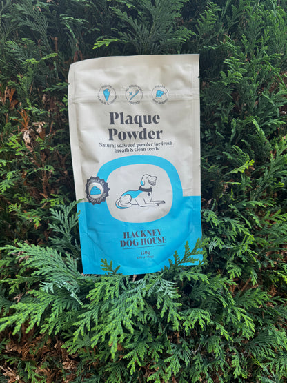 Hackney Dog Plaque Powder