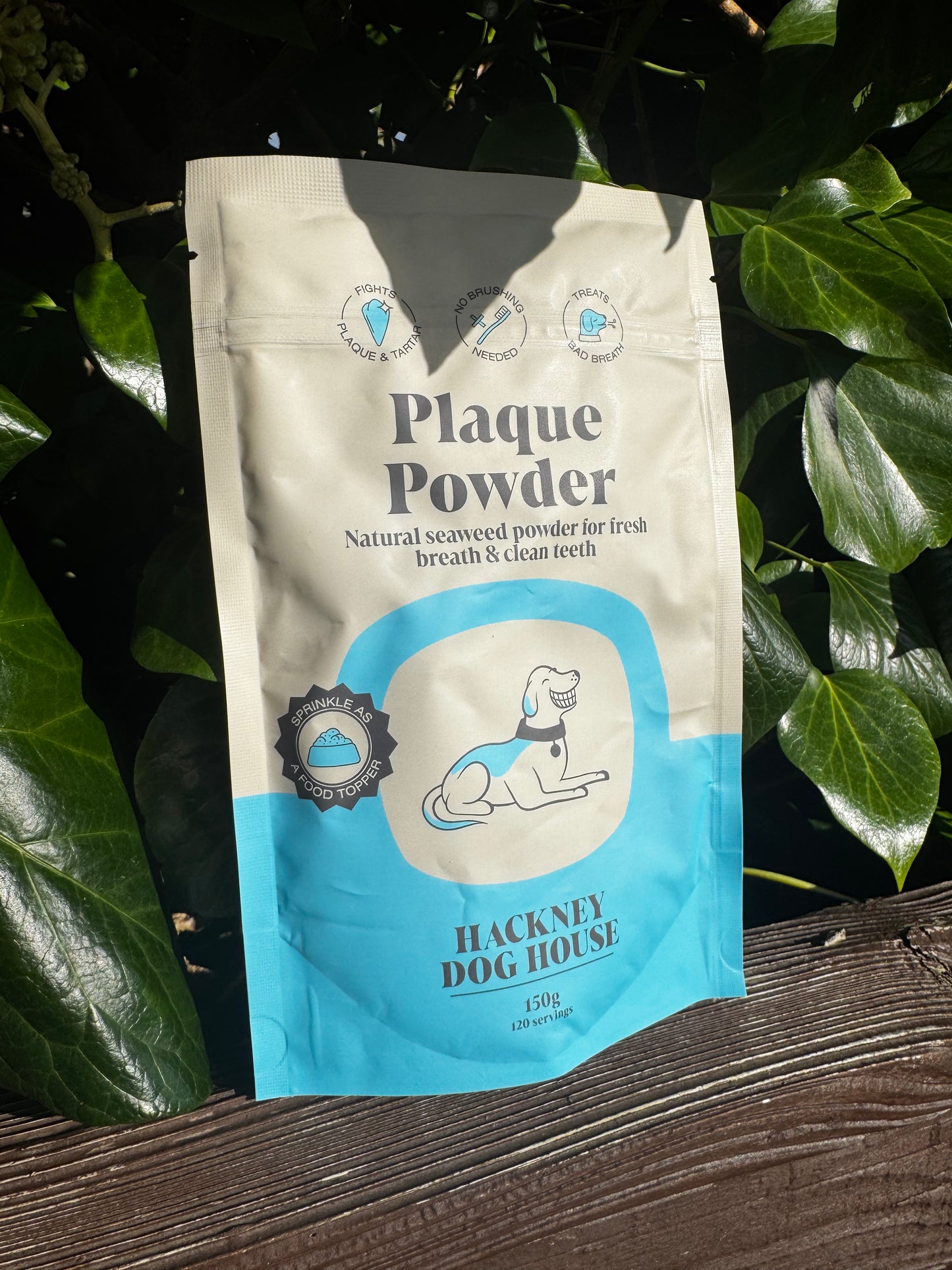 Hackney Dog Plaque Powder