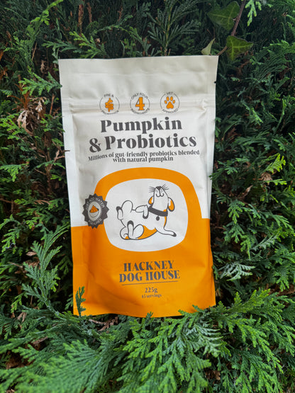 Hackney Dog Pre & Probiotics Real Pumpkin Powder