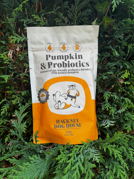 Hackney Dog Pre & Probiotics Real Pumpkin Powder