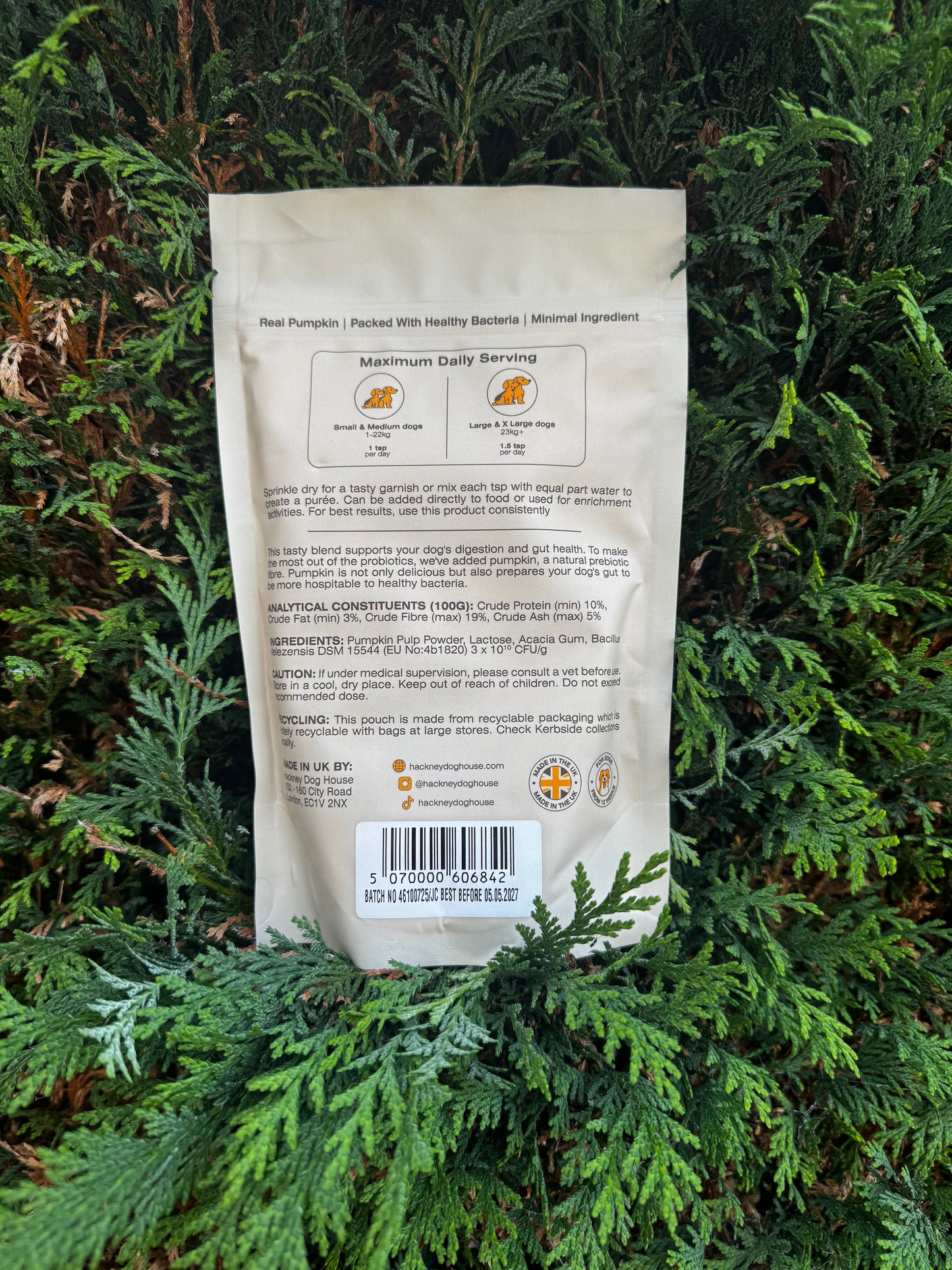 Hackney Dog Pre & Probiotics Real Pumpkin Powder