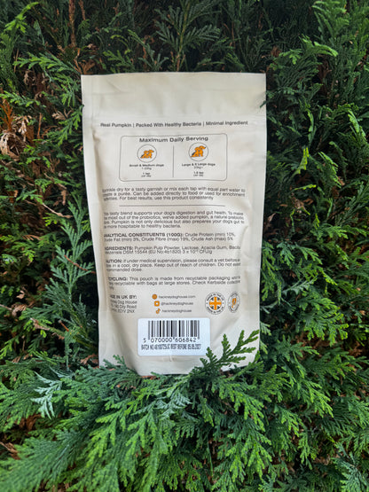 Hackney Dog Pre & Probiotics Real Pumpkin Powder