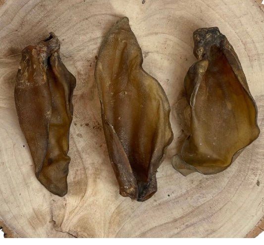 Large Buffalo Ear Plain