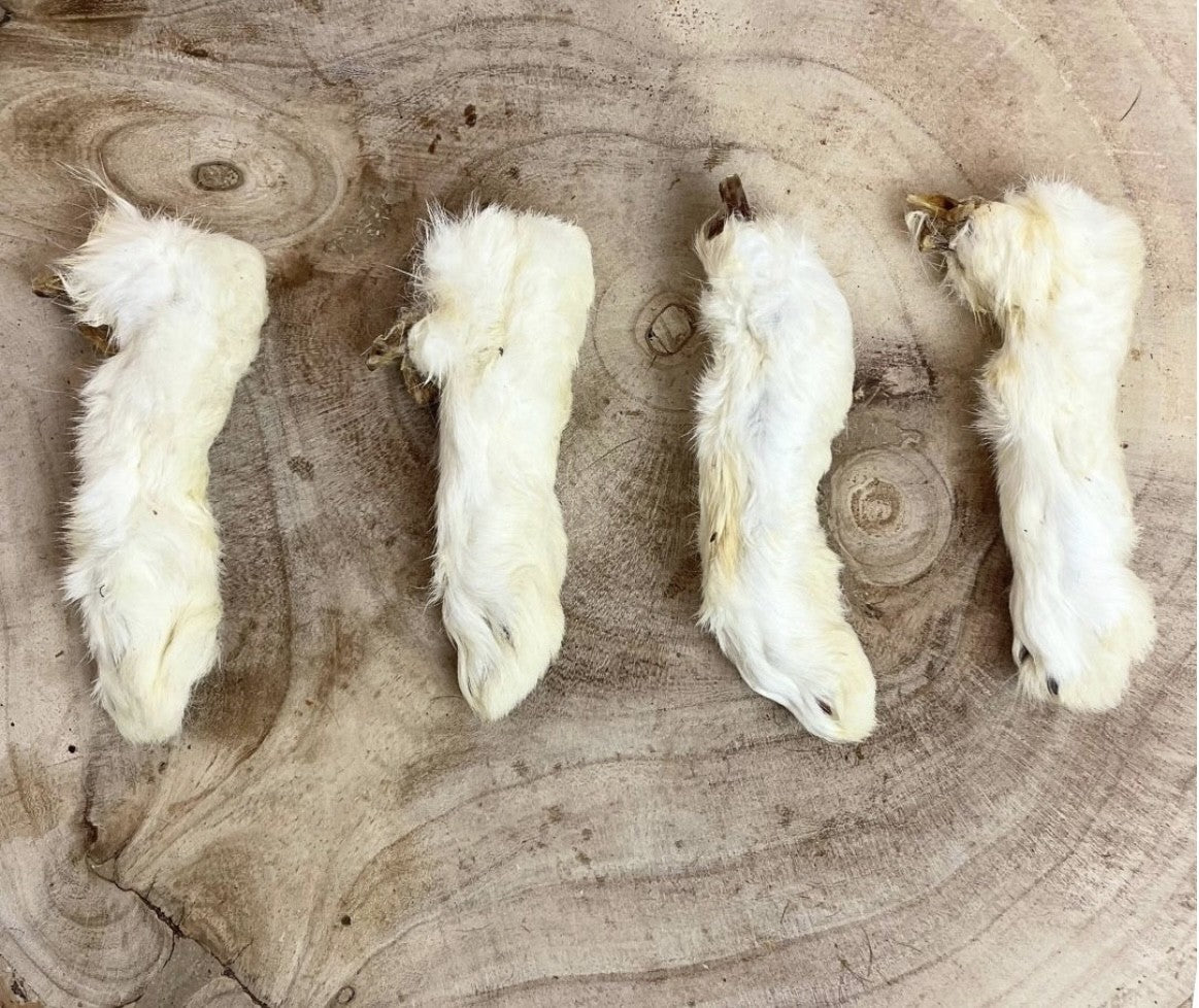 Hairy Rabbit Feet